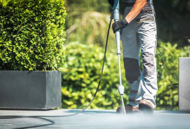 Best Pre-Holiday Cleaning  in Kincheloe, MI